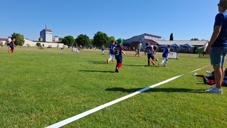 Sommerturnier Kleinlangheim - Pflanzen Weiglein Unterstützung 35