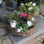 Saisonale Floristik - Pflanzen Weiglein
